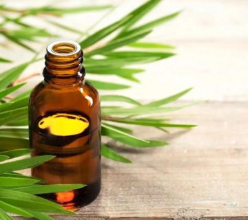 خرید اسانس چای سبز