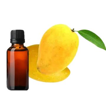 تولید اسانس انبه