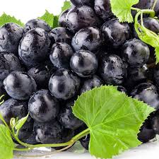 خرید اسانس کشمش در کرج