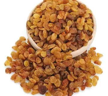 اسانس مویز