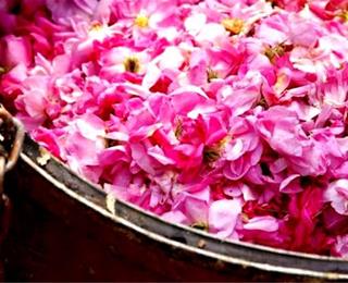 اسانس گلاب مرغوب