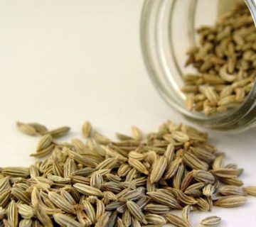 انواع اسانس رازیانه در مراغه