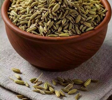 اسانس رازیانه و خواص آن