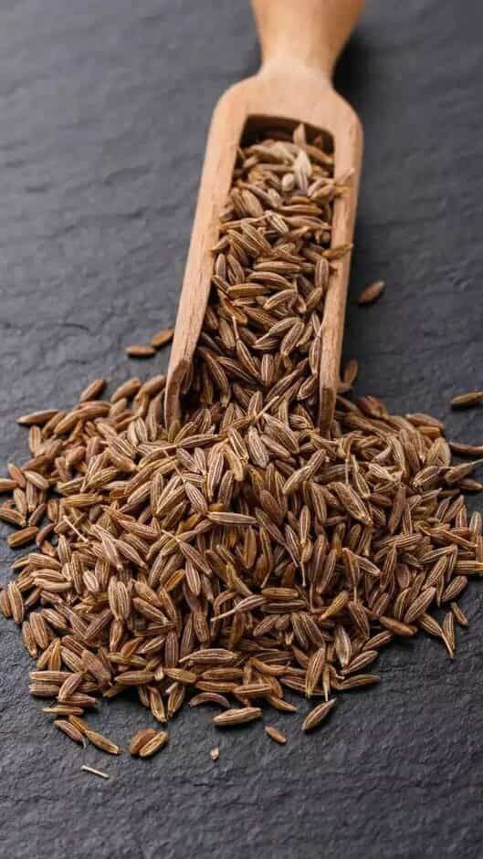 اسانس رازیانه خوراکی شرکت درویش شیمی